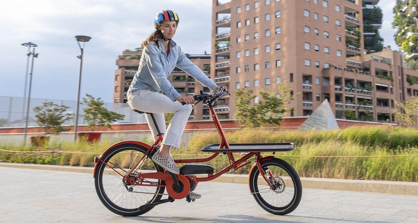 Bicicapace E-PELICAN 1.jpeg