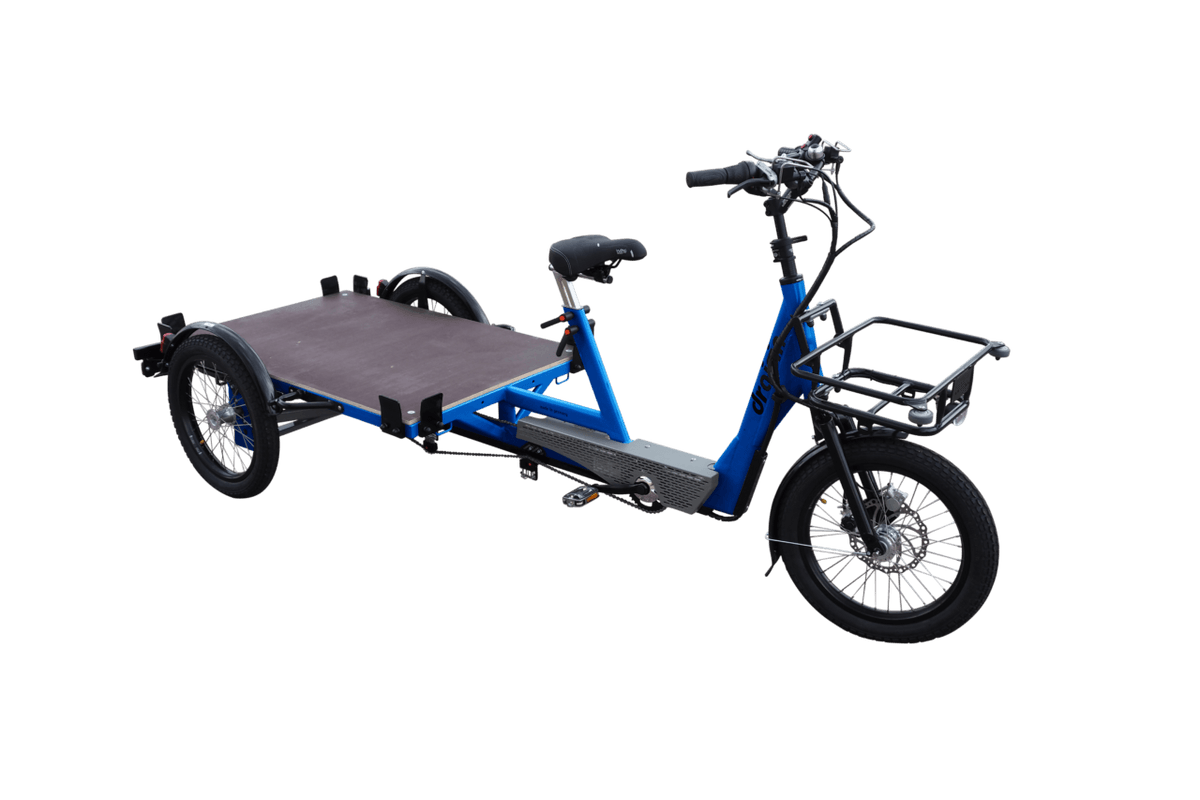 Draisin MADEIRA