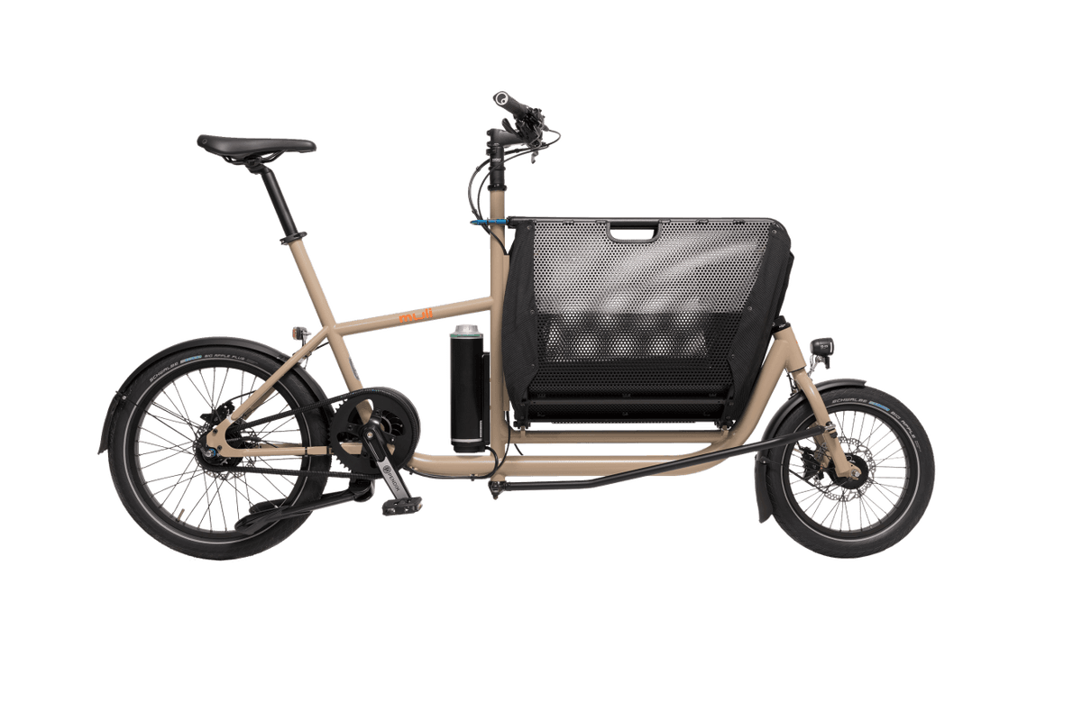 muli Motor px