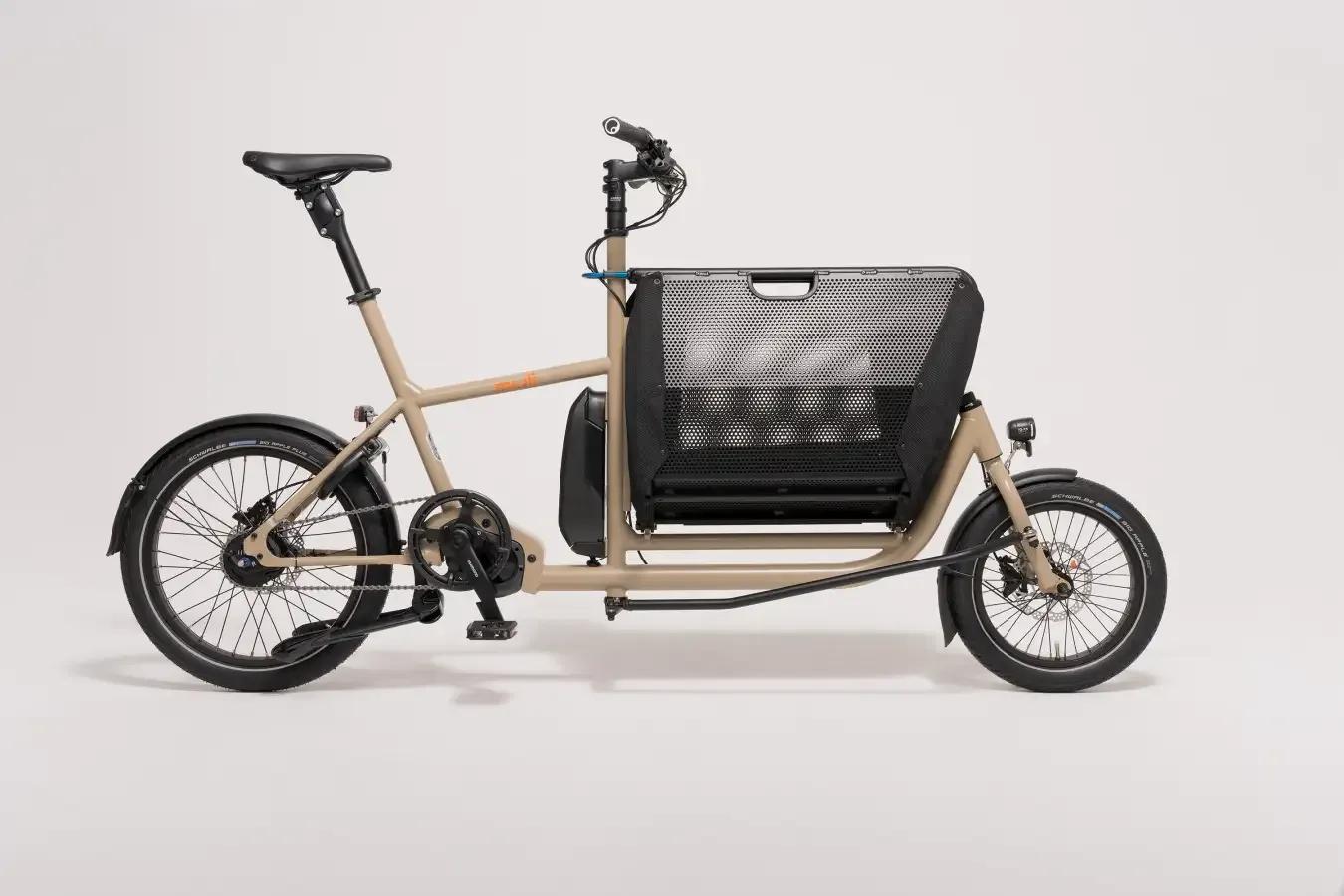 muli Motor st 3.webp