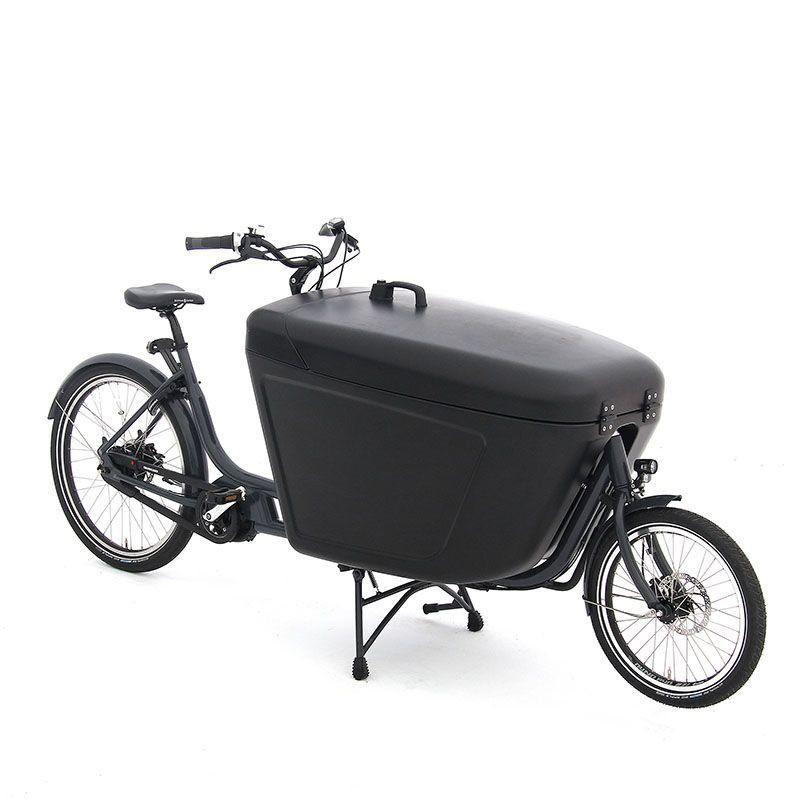 Babboe Pro Bike